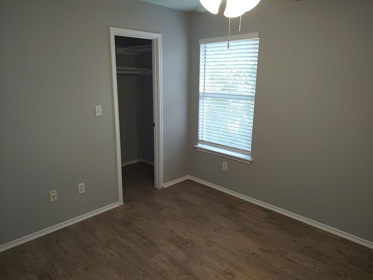 Austin House: 1619 Constantino Circle B