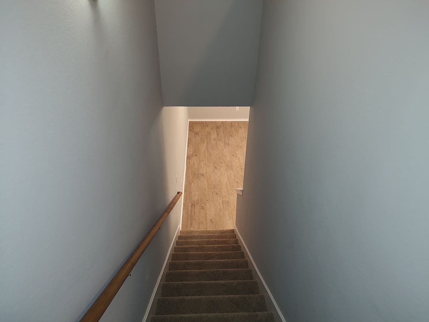 Austin House: 1619 Constantino Circle B