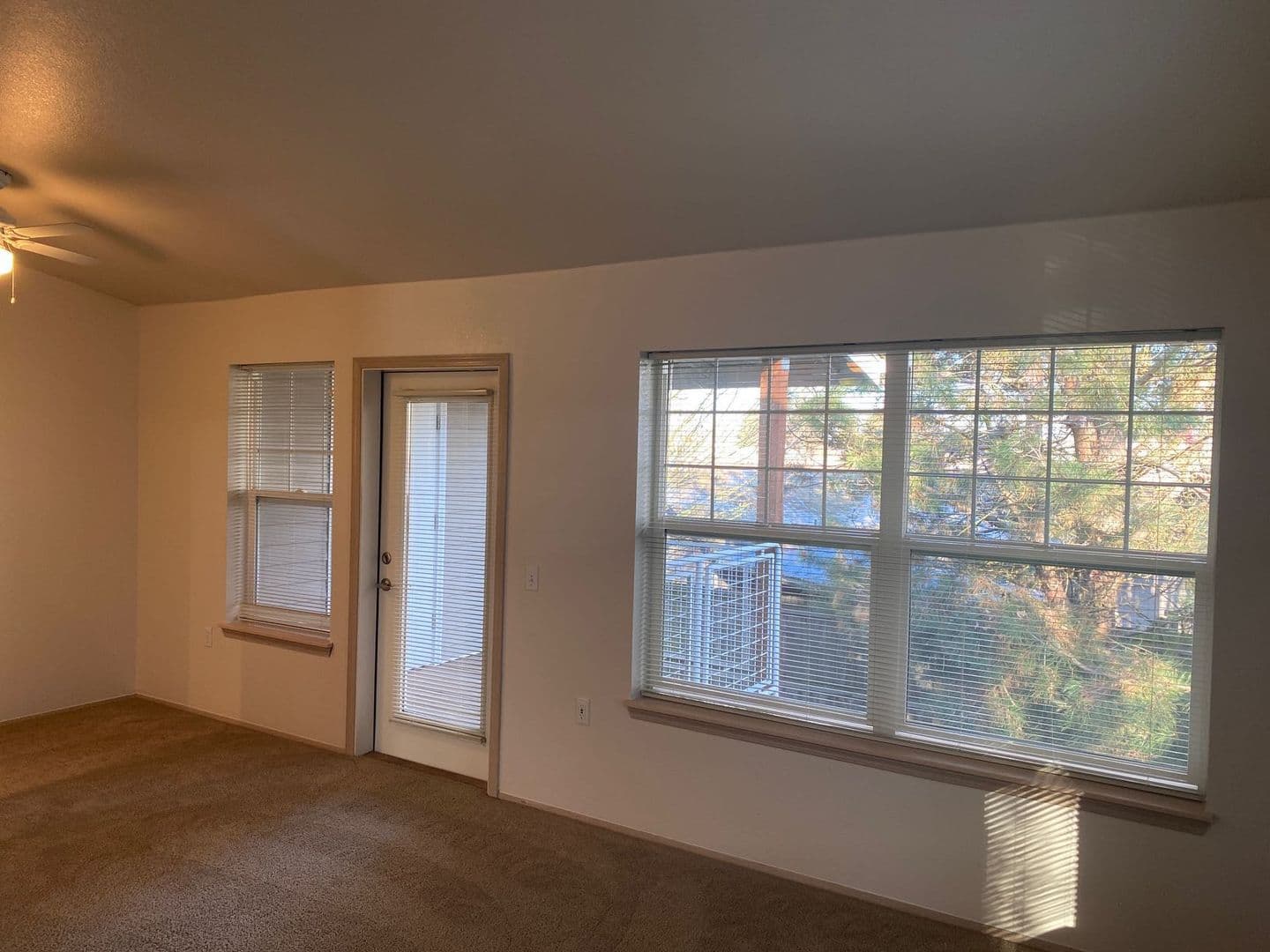 Albany Apartment: 3320 Jackson Street SE