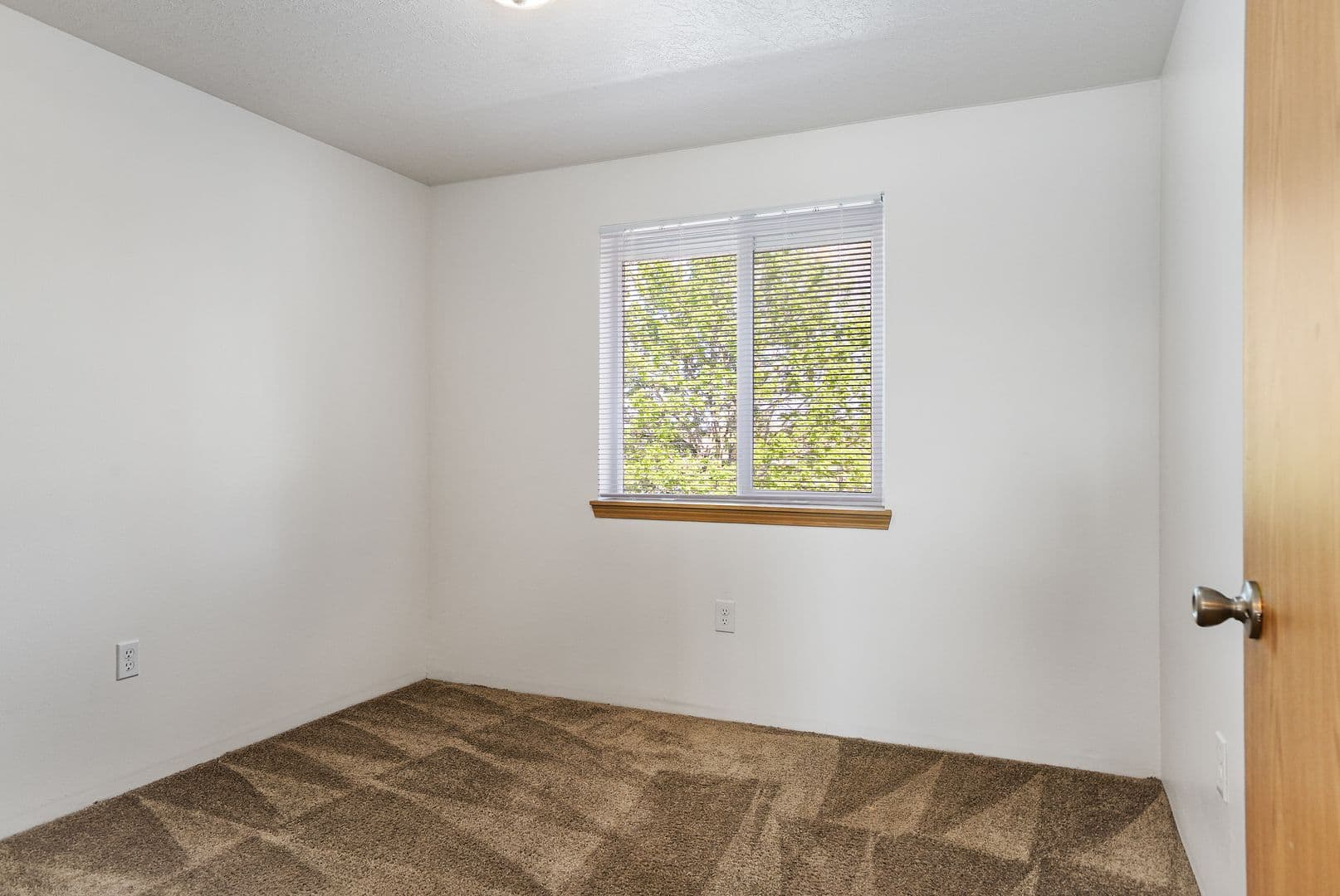 Albany Apartment: 1515 Waverly Dr SE