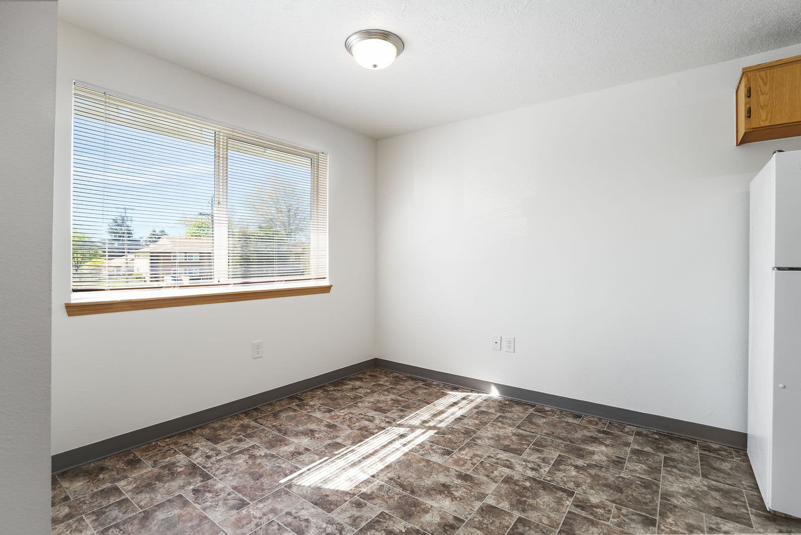 Albany Apartment: 1515 Waverly Dr SE
