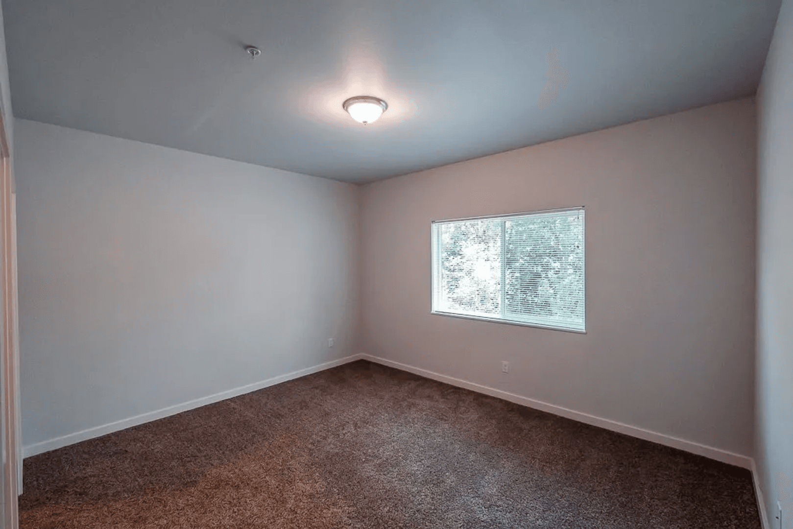 Sweet Home Apartment: 2500 Long Street