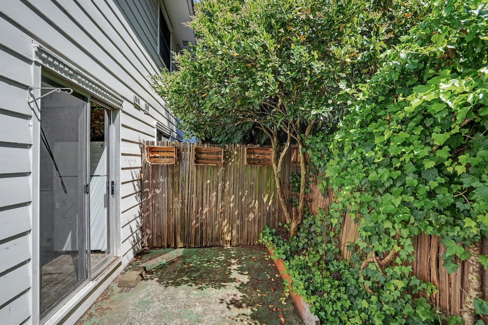 Salem Apartment: 260 Wilson St S