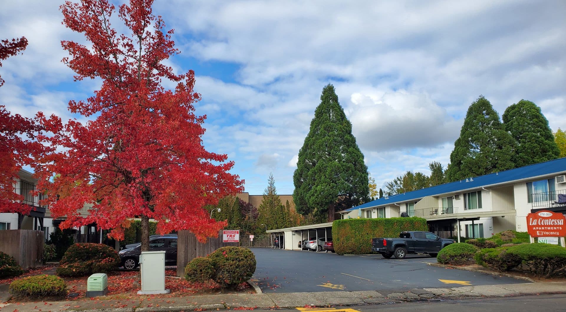 Salem Apartment: 3791 Bayonne Dr SE