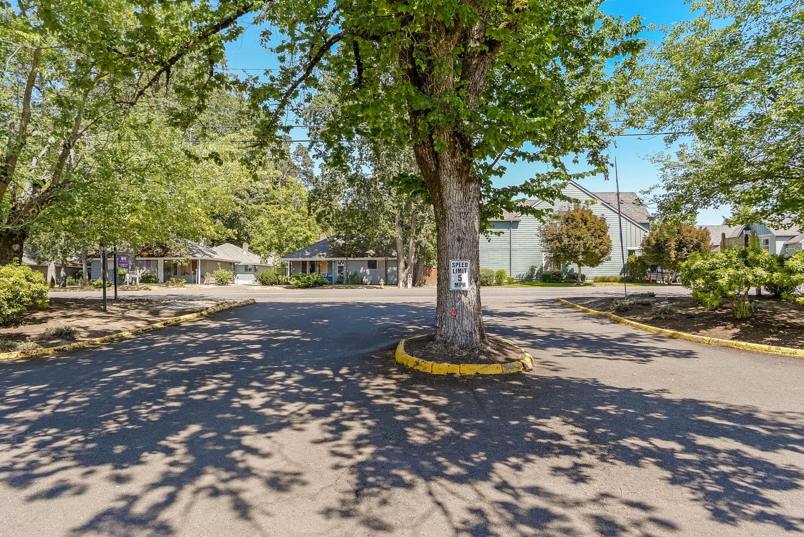 Salem Apartment: 3811 Lancaster Dr NE