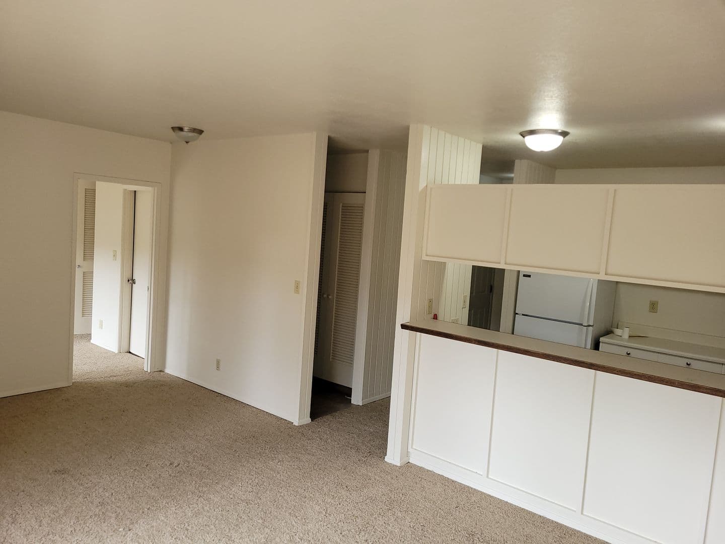 Salem Apartment: 355 Harney Street S