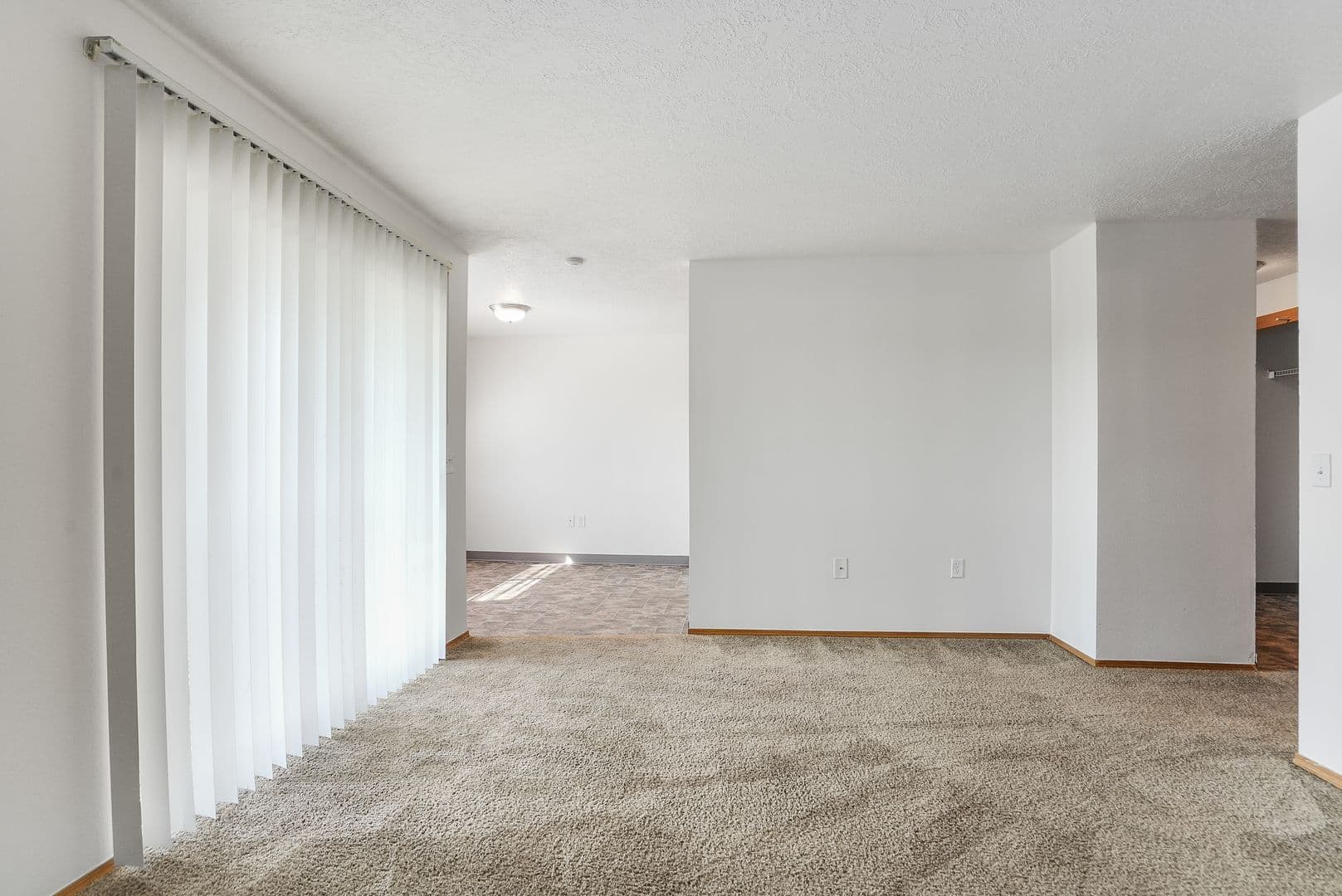 Albany Apartment: 1515 Waverly Dr SE