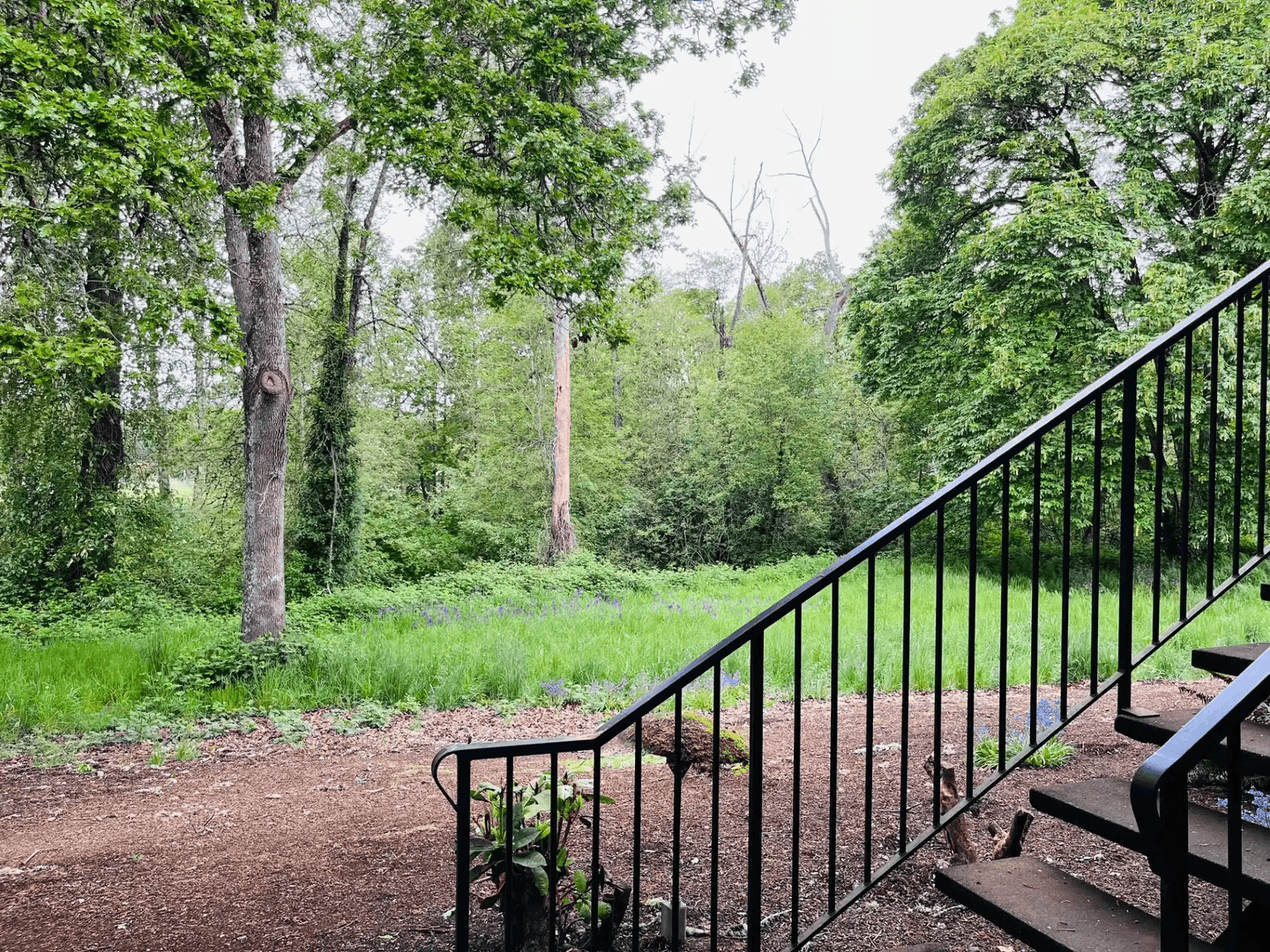 Salem Apartment: 1107 Hines Street SE