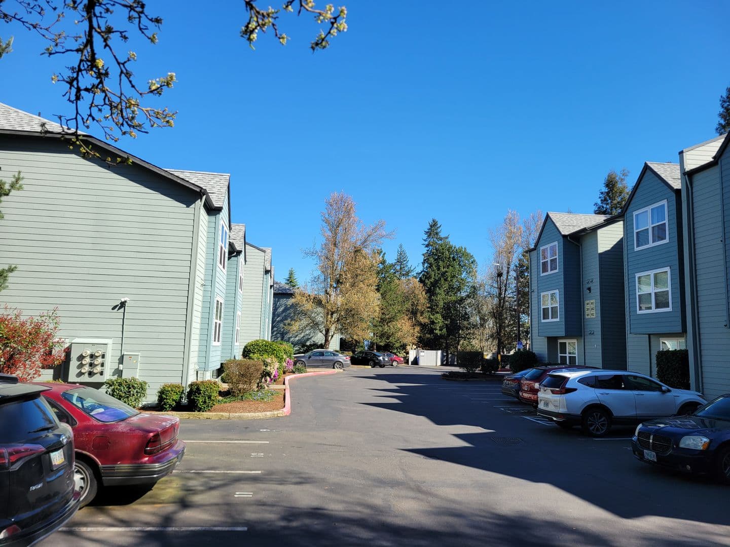Salem Apartment: 435 Vista Ave SE
