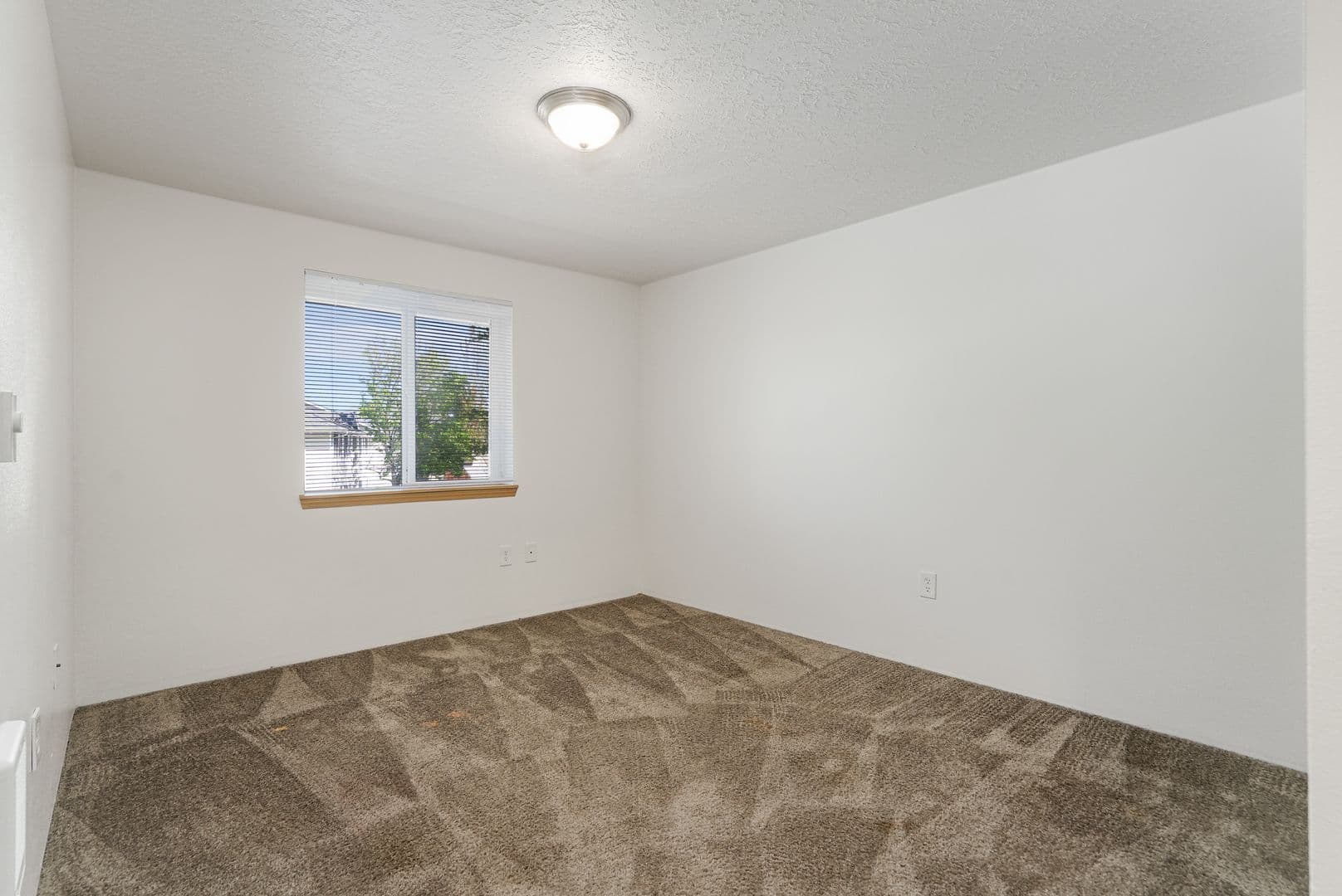 Albany Apartment: 1515 Waverly Dr SE