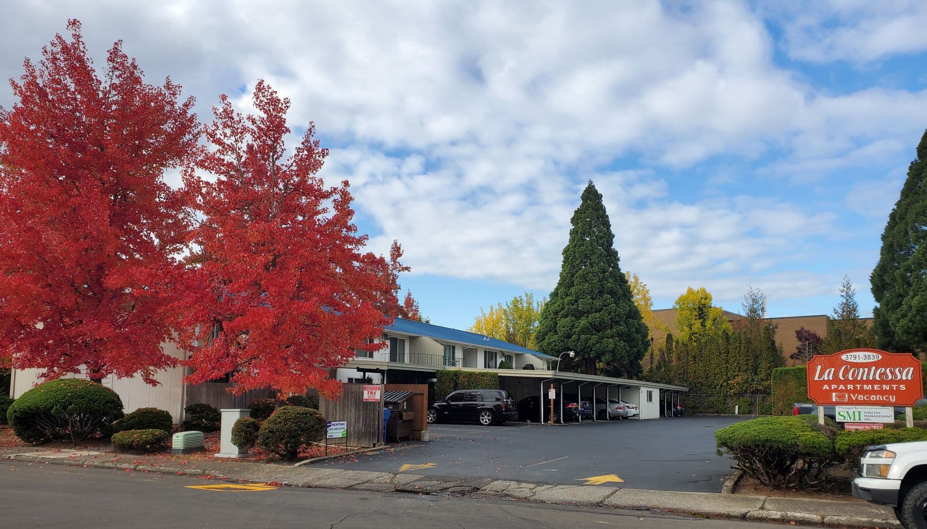 Salem Apartment: 3791 Bayonne Dr SE