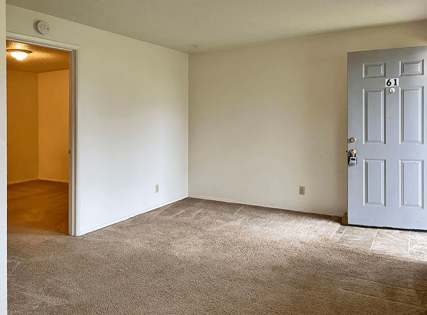 Monmouth Apartment: 775 N Knox Street