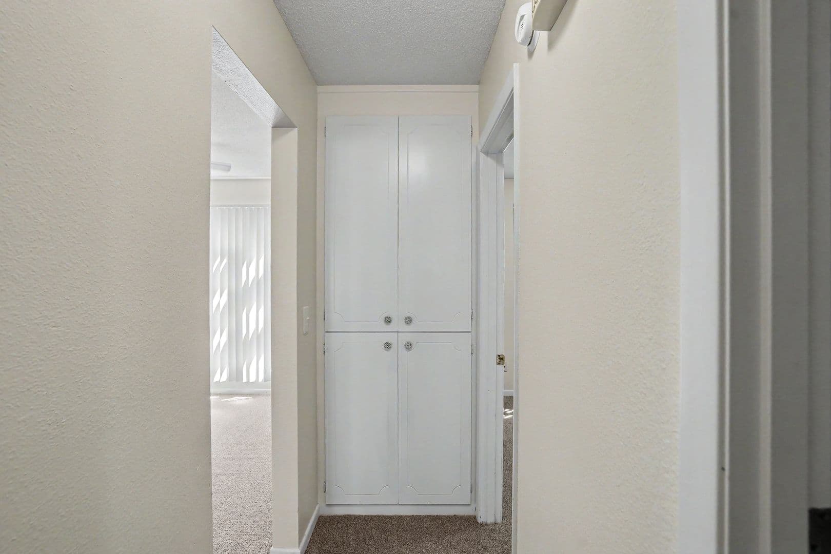 Salem Apartment: 260 Wilson St S