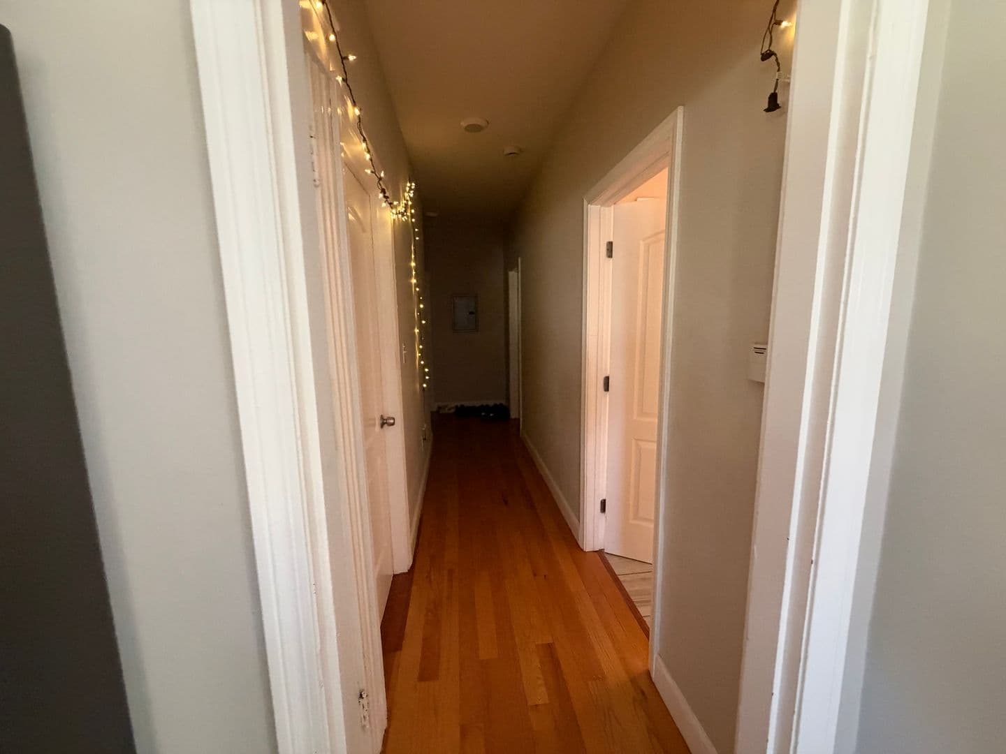 Providence Apartment: 139-141 Oakland Ave Unit #3