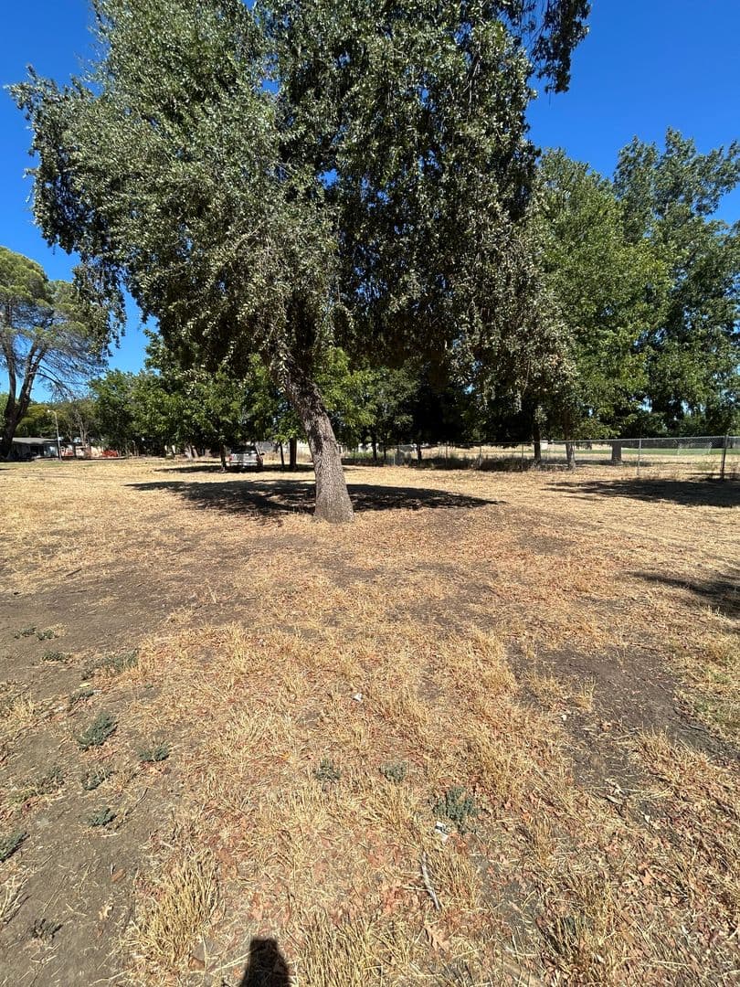 Vacaville House: 316 Butcher Road