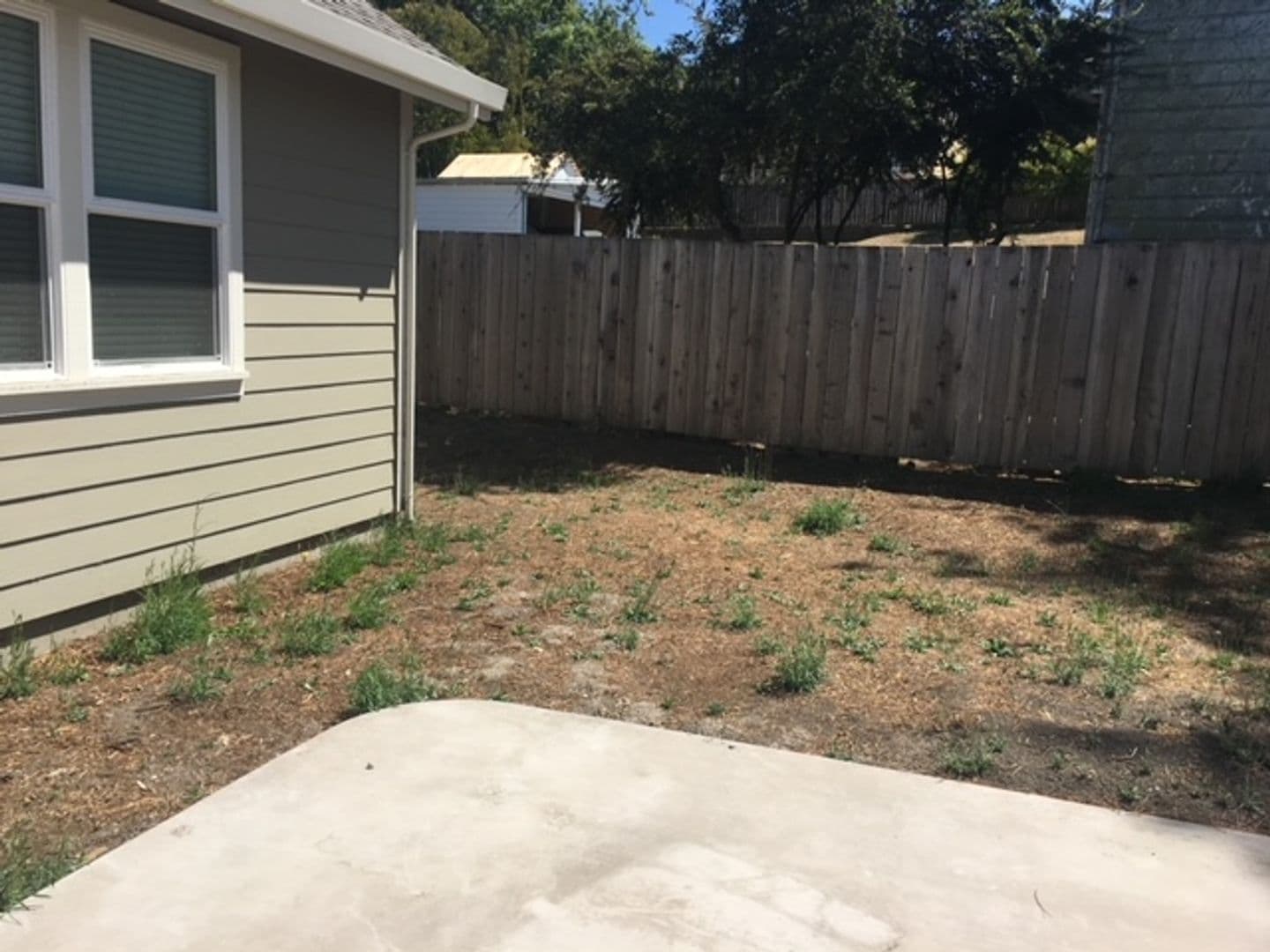 Petaluma House: 715 Bodega Avenue