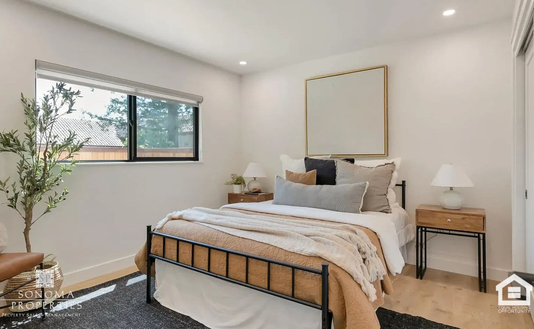 Sonoma Apartment: 532 3rd Street West