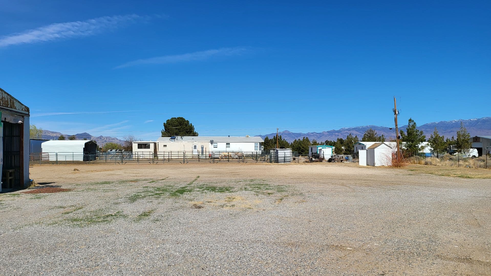 Pahrump House: 1270 W Irons St.