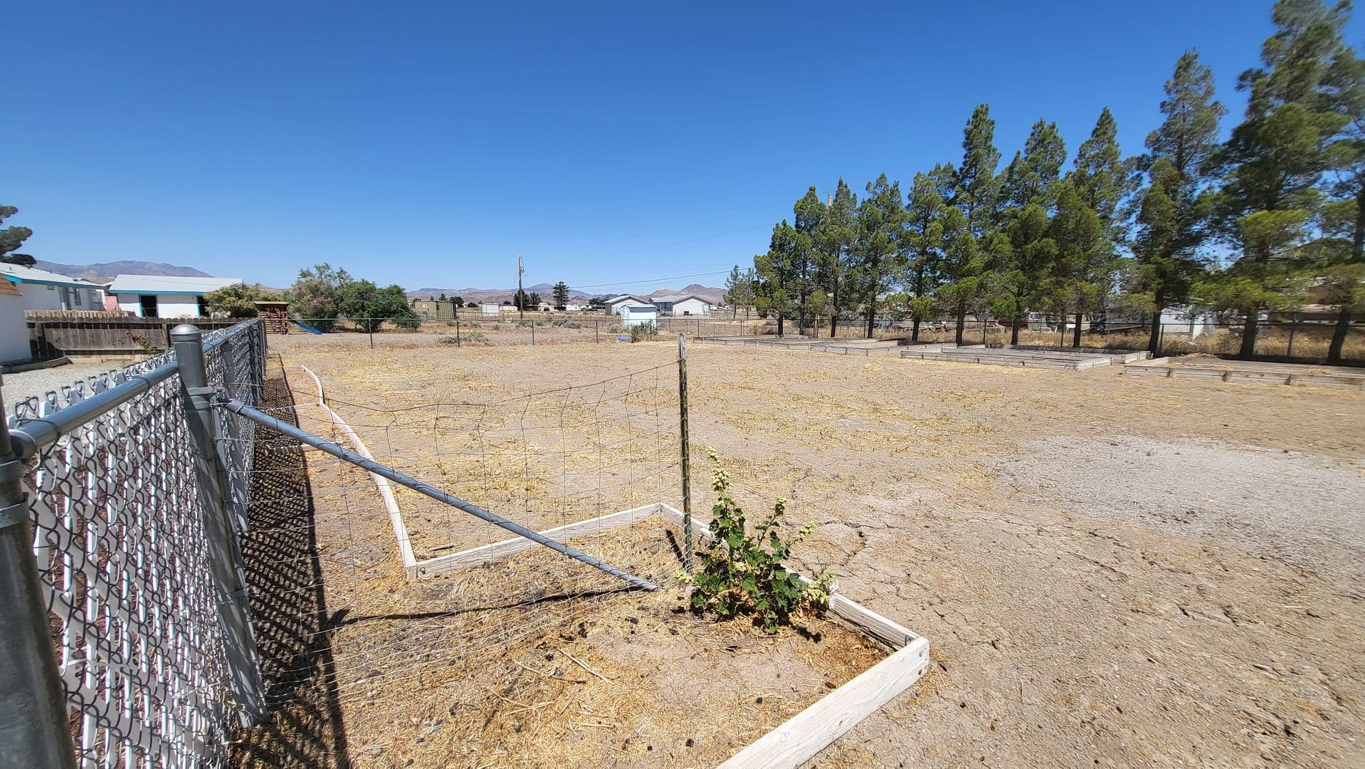 Pahrump House: 3420 Van Lane