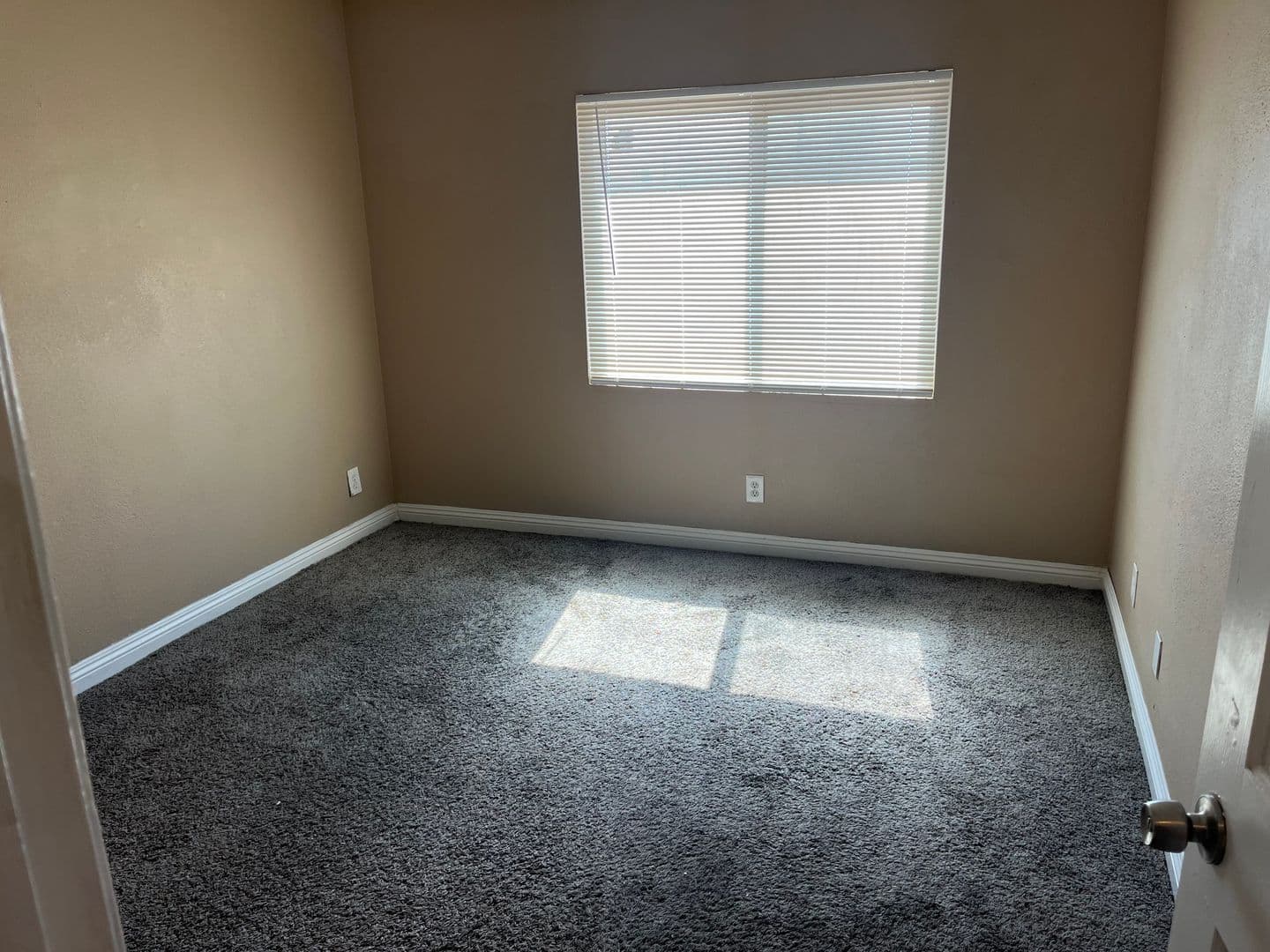 Las Vegas Apartment: 2041 Bledsoe Ln