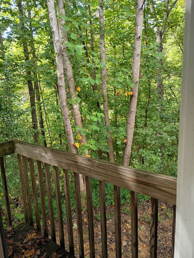 Bluff City Apartment: 504 Ridgeview Circle