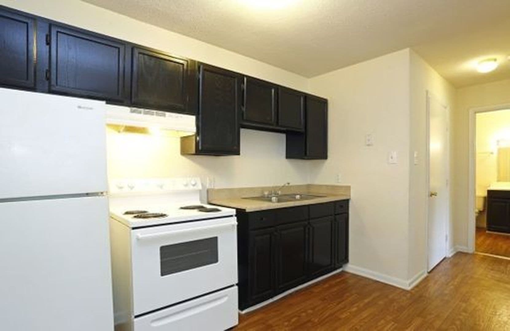 Durham Apartment: 412 E. Pilot St