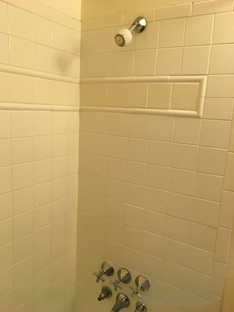 Seattle Apartment: 124 11th Avenue East