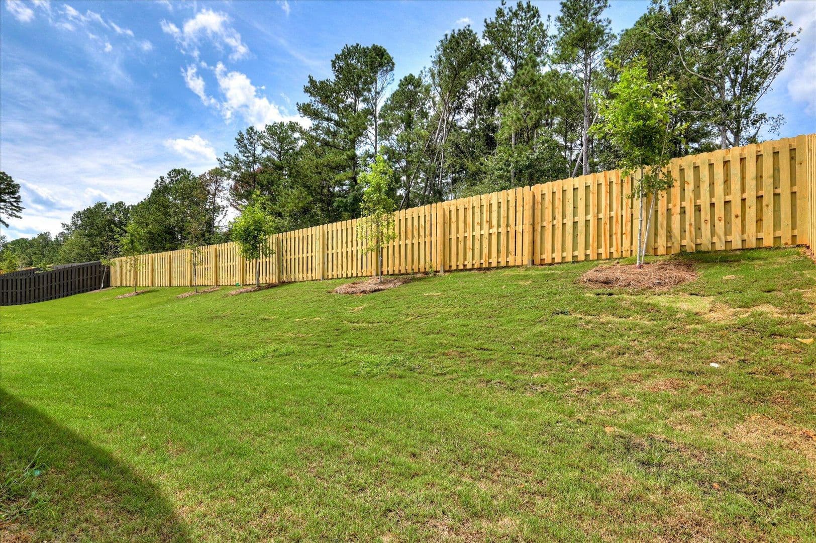 Evans House: 136 Tanager Lane