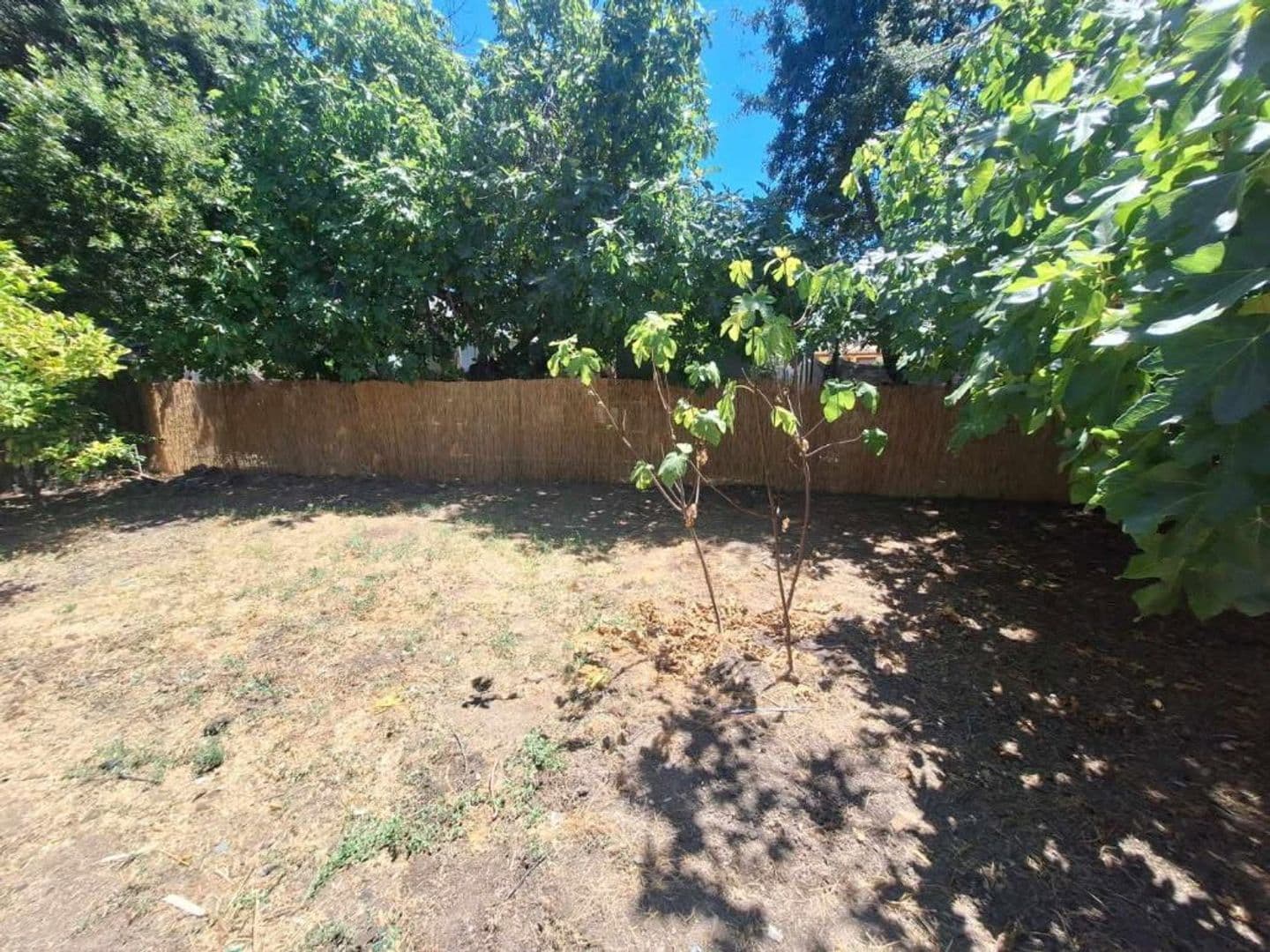 Lucerne House: 6145 2nd  Avenue