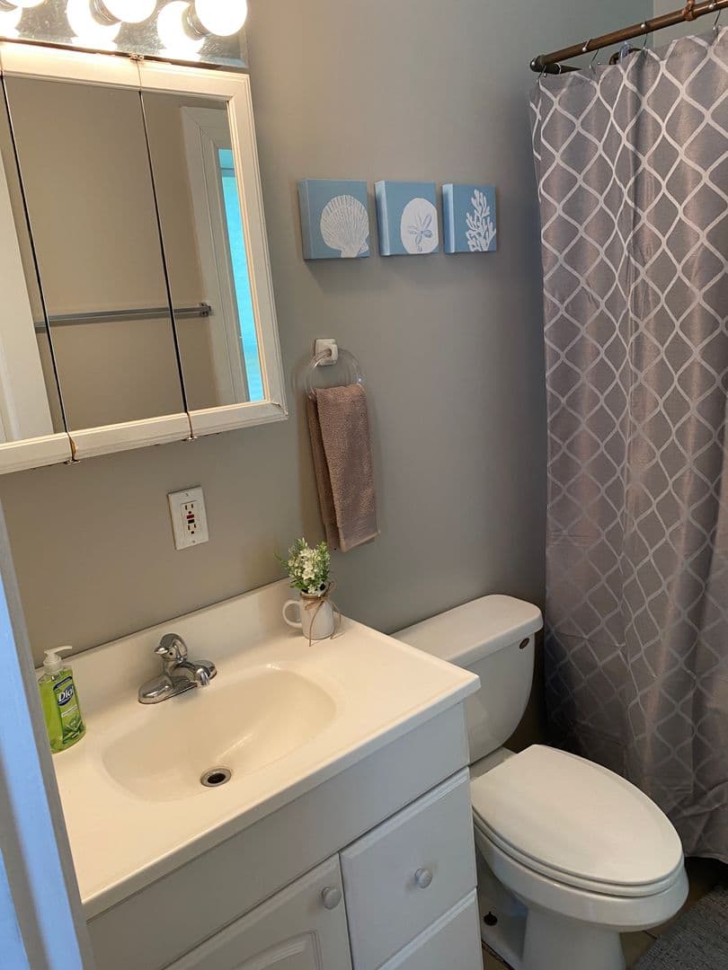 Rochester Apartment: 1100 South Ave
