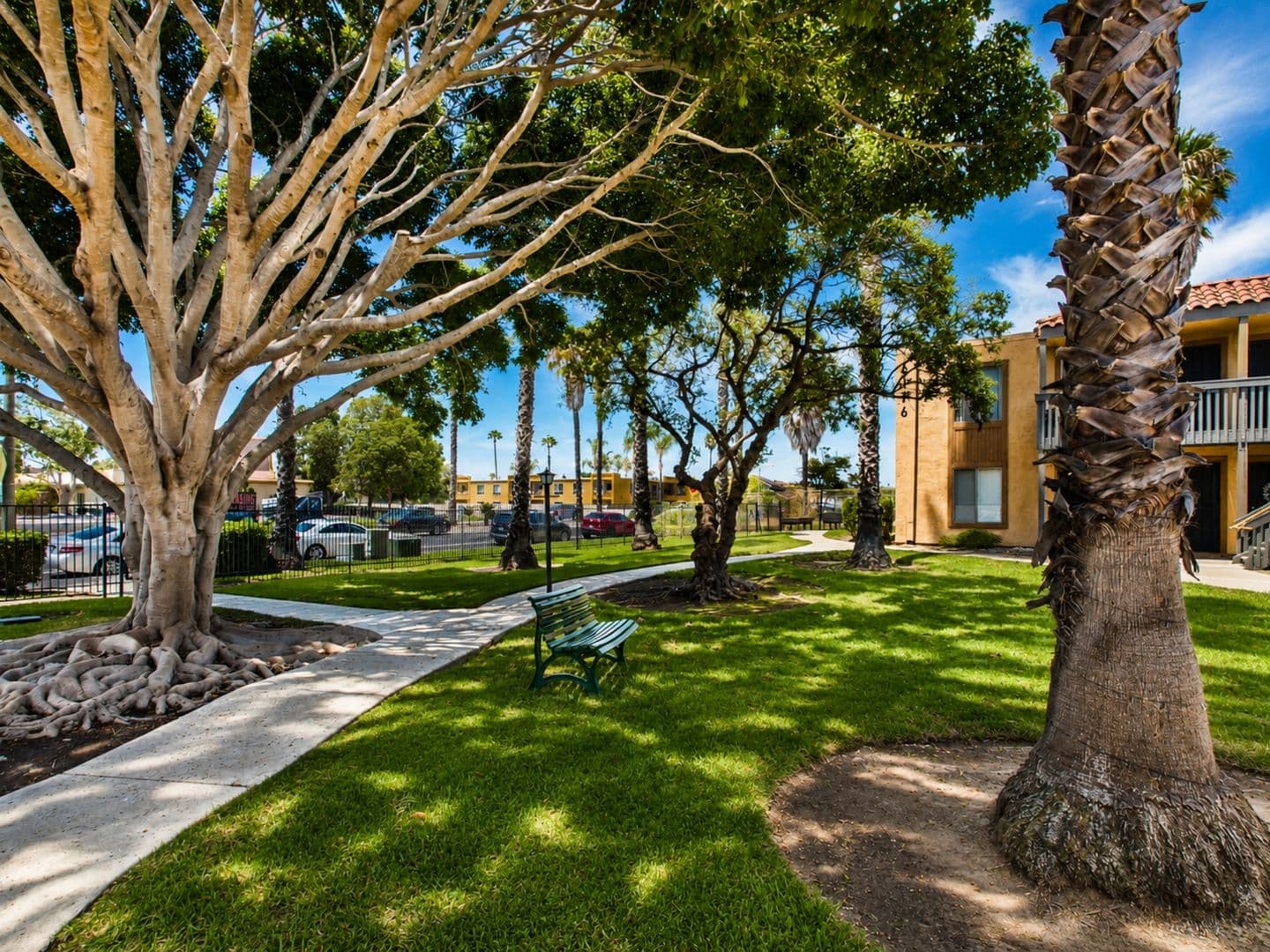 San Diego Apartment: 6106 Beadnell Way