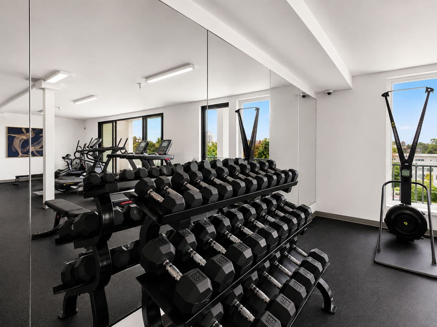 San Diego Apartment: 2844 Lytton Street