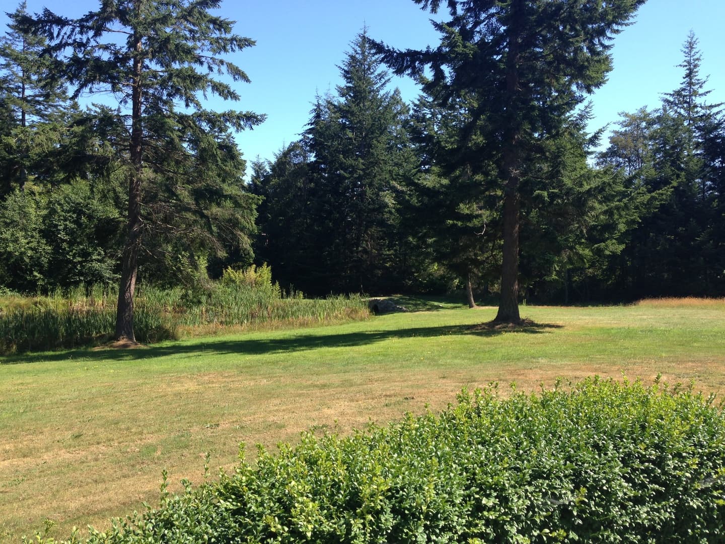 Greenbank Apartment: 925 Classic Road