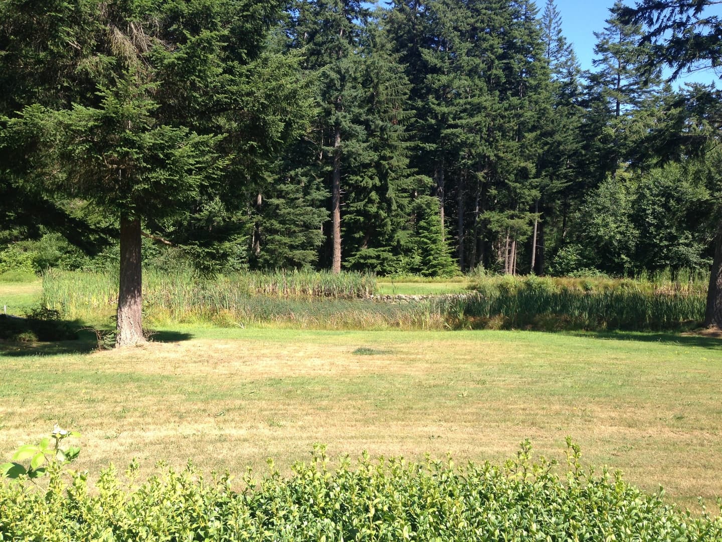 Greenbank Apartment: 925 Classic Road