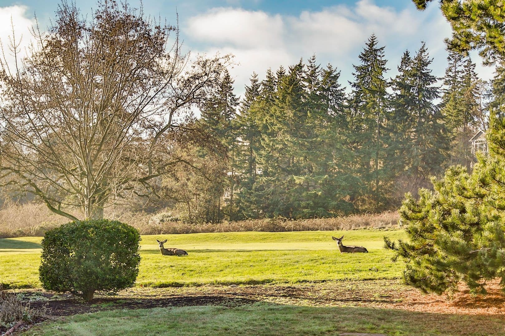 Freeland House: 1404 Portside Court