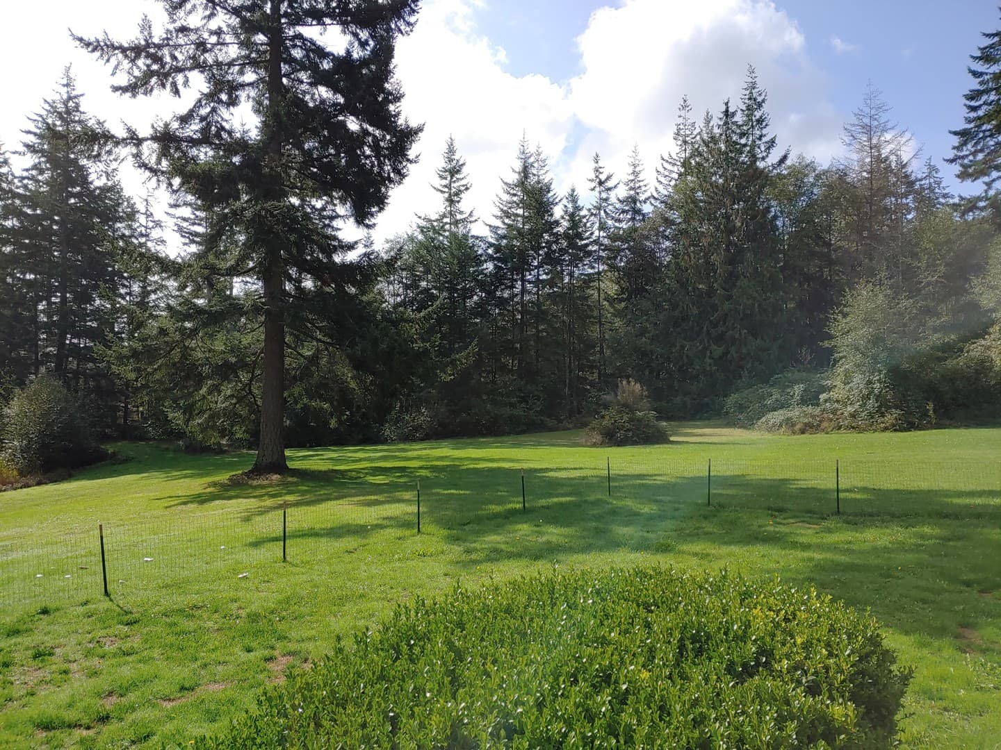 Greenbank Apartment: 925 Classic Road