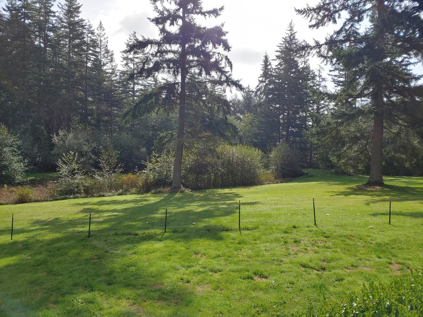 Greenbank Apartment: 925 Classic Road