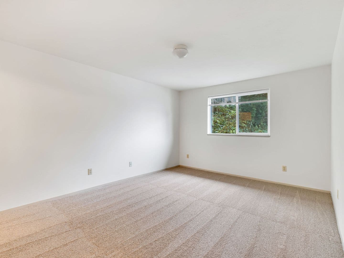Seaside Apartment: 355 South Wahanna Rd
