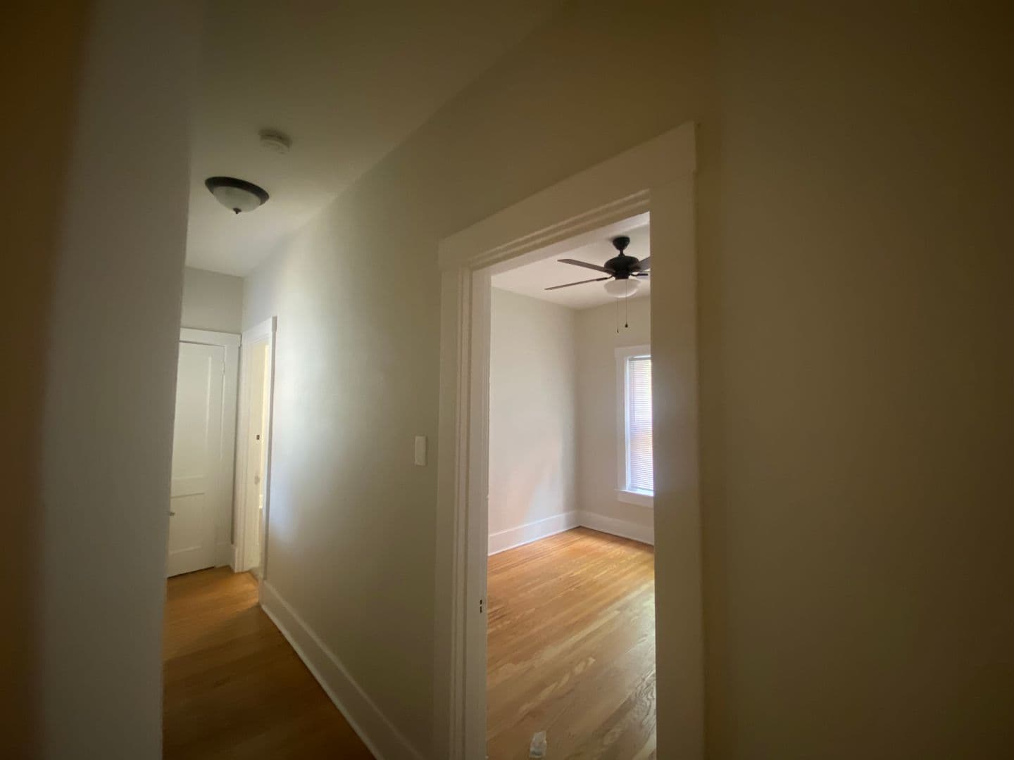 Louisville Apartment: 410 W Ormsby