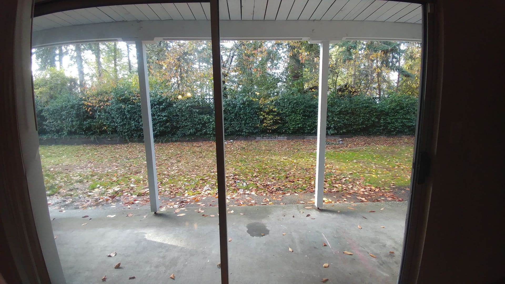 Lakewood Apartment: 12502 Addison Street SW