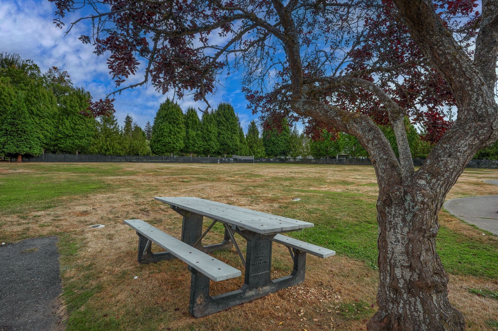 Pacific Apartment: 504 4th Ave SE