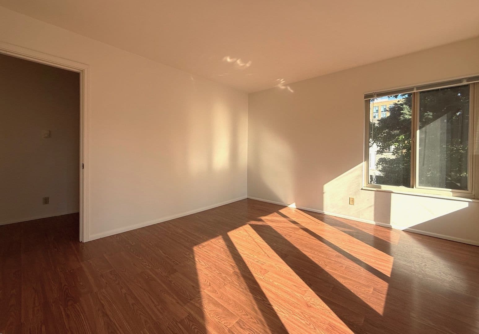 Seattle Apartment: 4225 11th Ave NE