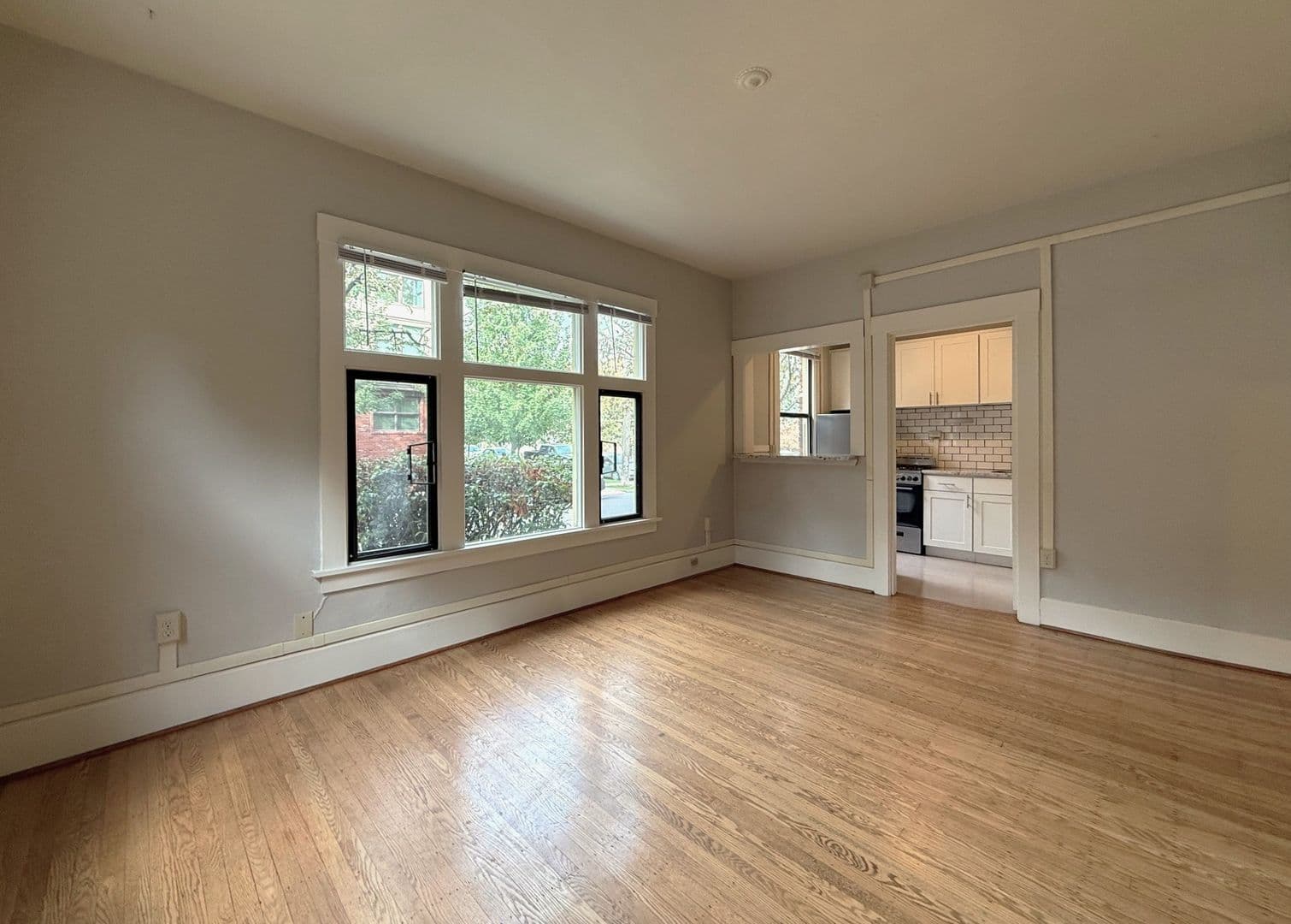 Seattle Apartment: 1803 E John St