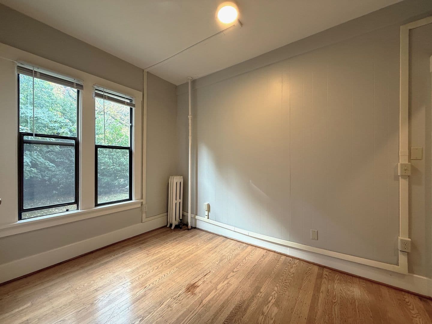 Seattle Apartment: 1803 E John St