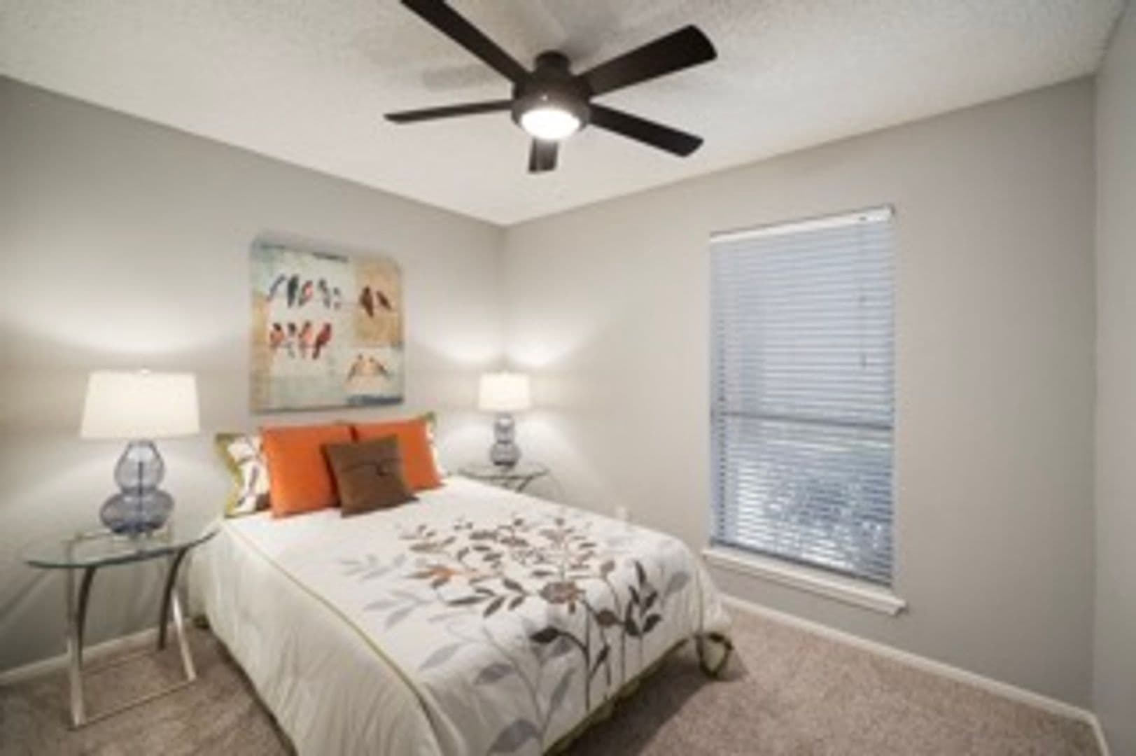 Austin Apartment: 5200 N Lamar Boulevard