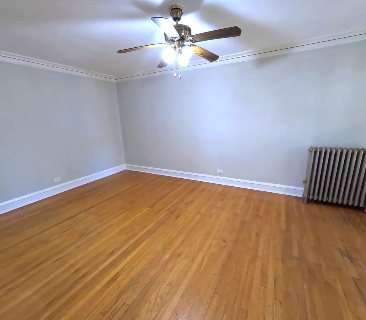 Oak Park Apartment: 324-328 S Maple Ave