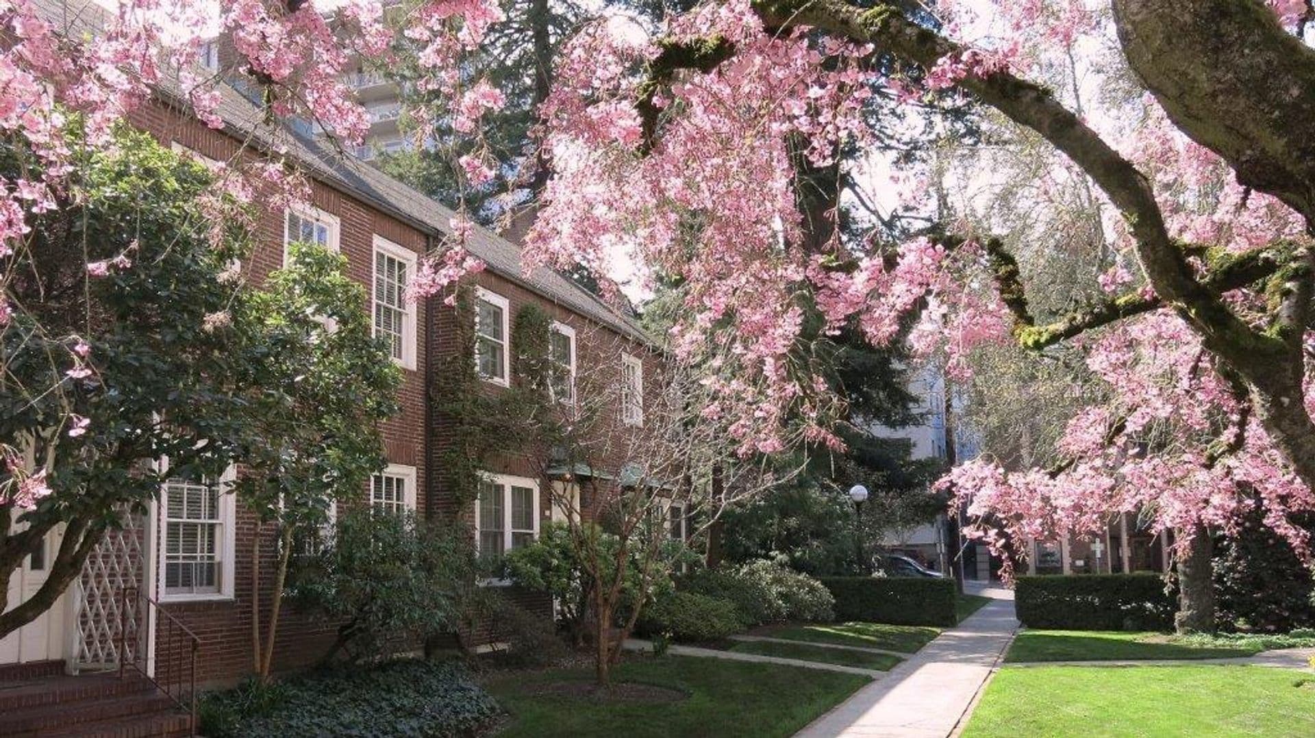 Portland Apartment: 810 SW Vista Ave