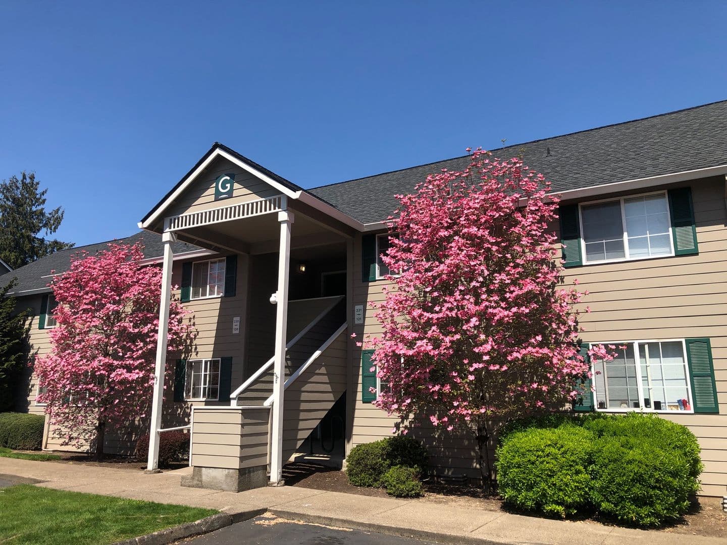 Newberg Apartment: 1401 N Springbrook Rd