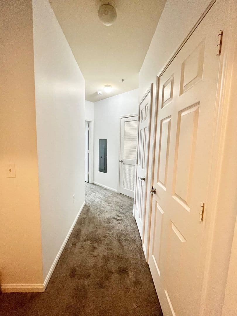 New Haven Apartment: 400 Blake St.