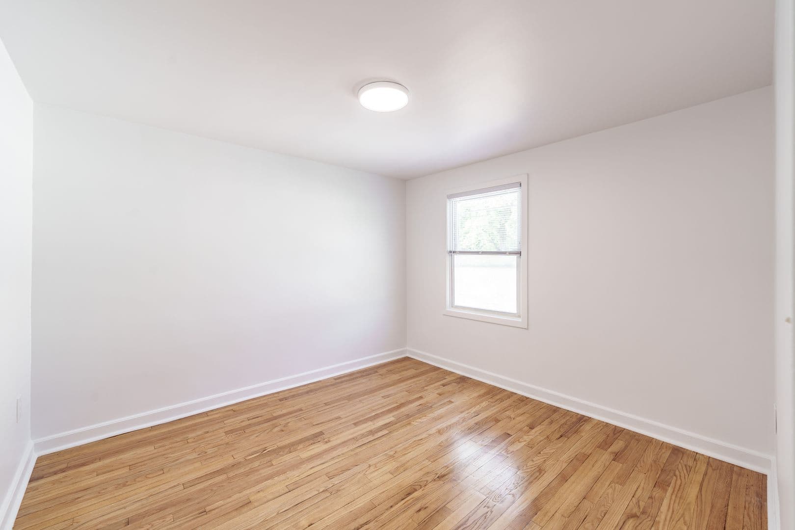 New Haven Townhome: 35 Cooper Pl